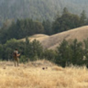 Meet your Posher, Mason